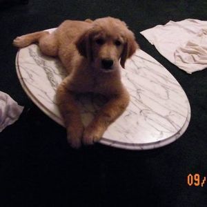 Meet your Posher, Mary frances